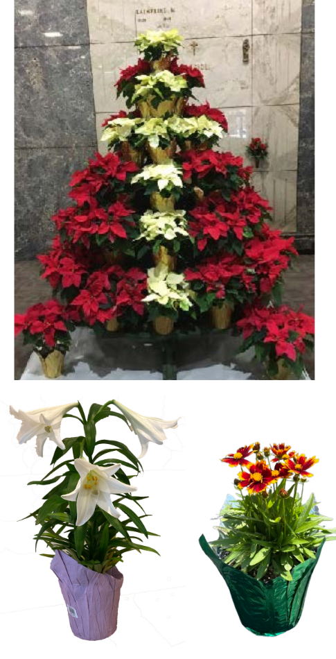 3 Holiday Chapel Package - Christmas/Easter/Father's Day