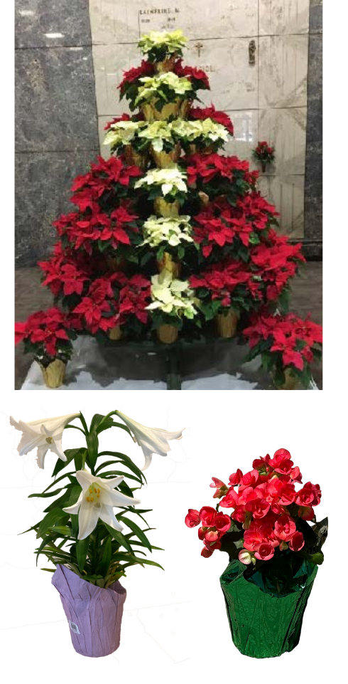 3 Holiday Chapel Package - Christmas/Easter/Mother's Day