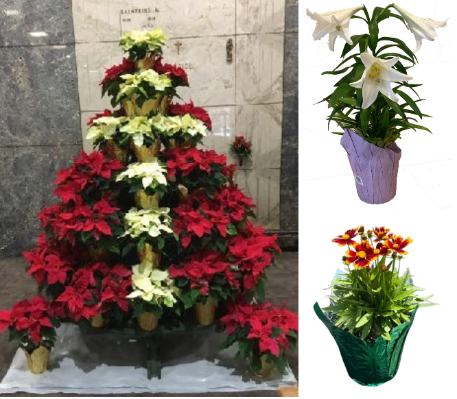 3 Holiday Chapel Package - Christmas/Easter/Father's Day