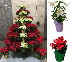 3 Holiday Chapel Package - Christmas/Easter/Mother's Day