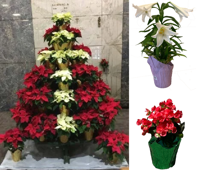 3 Holiday Chapel Package - Christmas/Easter/Mother's Day